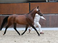 NRPS 160917-0208